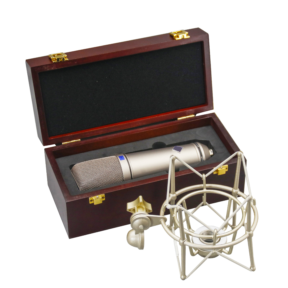 Профессиональная серия конденс – обзор и цена Condenser Microphone Studio Large Diaphragm