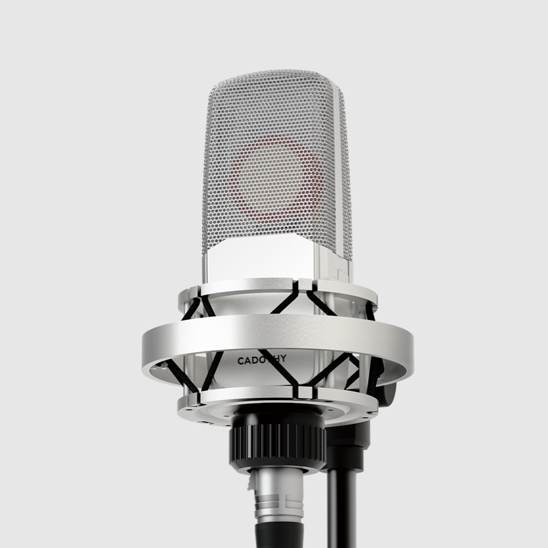 Высококачественный студийный м – обзор и цена Condenser Microphone Studio Large Diaphragm
