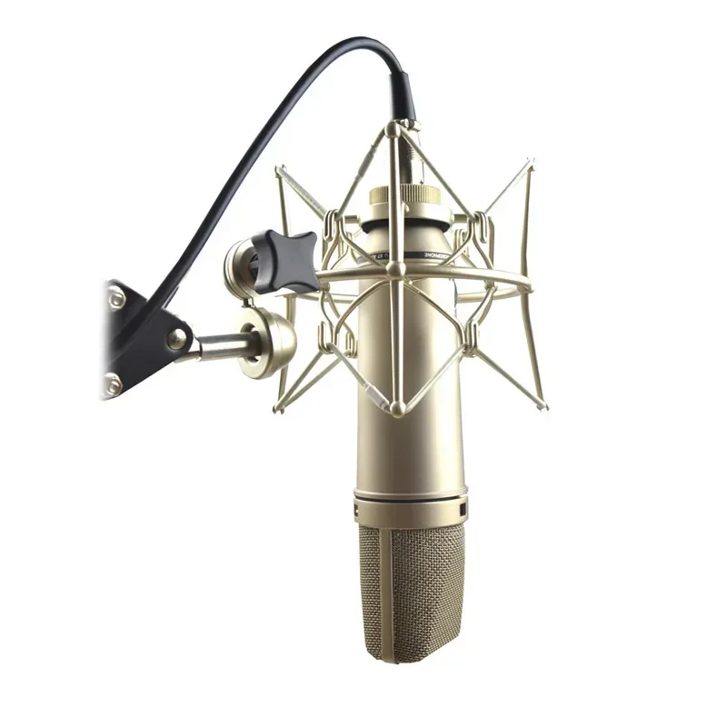2026 Высококачественный студий – обзор и цена Condenser Microphone Studio Large Diaphragm